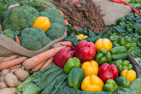 Vegetables on the tableの写真素材