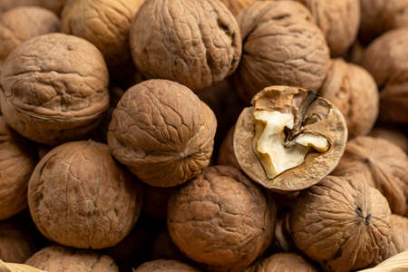 Nutrient-rich walnutsの写真素材