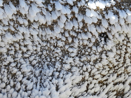 Frozen, winter, ice, cold, snow, winter, river, nature, landscape, frozen, frost, mountain, waterfall, white, rock, spring, icy, snowy, freeze, stone, water, grass, nature, field,の写真素材
