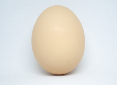 chicken egg isolated on white background, Close-up of an egg
