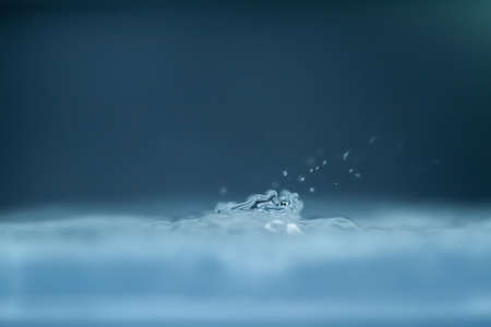 droplet fell into water with splash on blue backgroundの写真素材