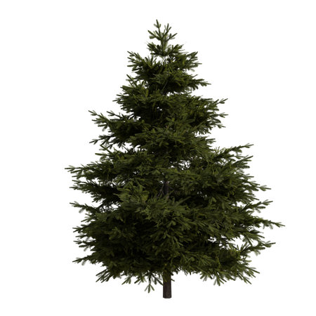 Pine tree isolated on white background. 3d illustration, clipping pathの写真素材