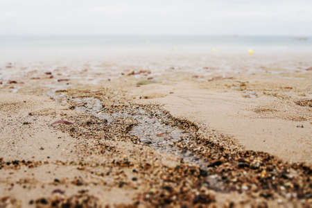 Little rivers made by low tide on a sandy ocean beachの写真素材