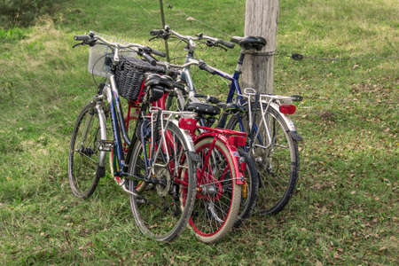 Three bicycles of a family are parked on at a fence in the forest.のeditorial素材