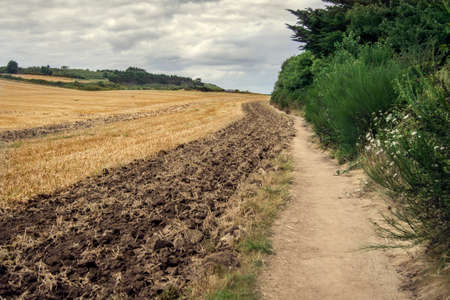 A colorful field used for farming, the crop is mowed and the soil is plowedの写真素材