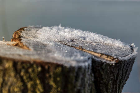 A close-up of a cut tree trunk in winter covered with snow and ice crystalsの写真素材