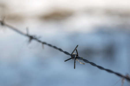 A close-up of barbwire in a winter landscapeの写真素材