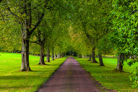 Green alley to the castle in Scotlandの写真素材