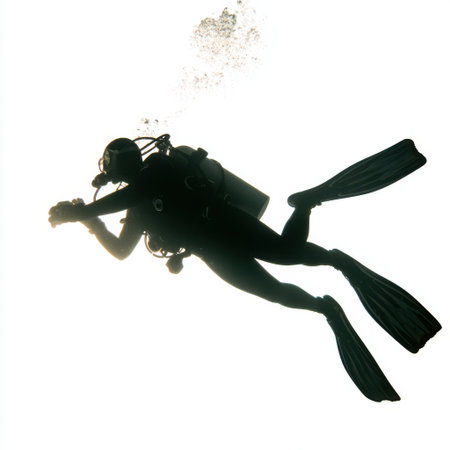 A lone scuba diver is captured in silhouette, swimming gracefully through clear, bright water with fins propelling them forward.の素材