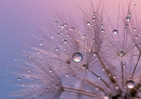 Close-up macro shot of a dandelion seed head covered in glistening water droplets against a soft, gradient pastel sky.の素材