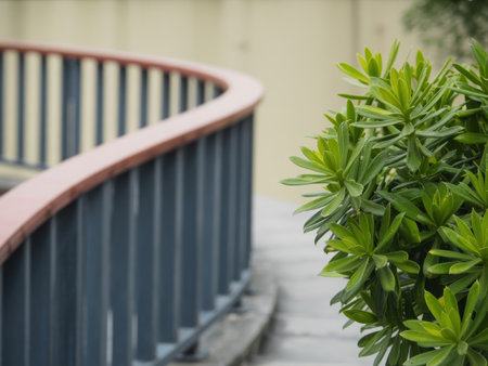 A green bush and railing along a pathway with a blurred background. The outdoor scene captures the beauty of nature and the serenity of a peaceful walkway.の素材