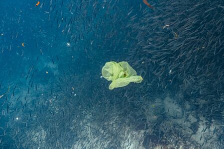 Single-use plastic and school of fish in a shallow reef. Plastic is a major contributor of pollution...