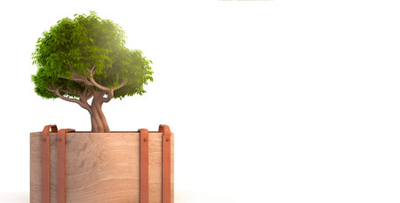 Wooden box with green tree on white background. 3D renderingの素材