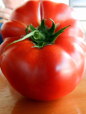 Tomatoの写真素材