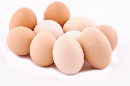 Domestic organic eggsの写真素材