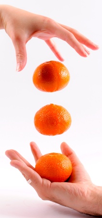 Mandarin dropsの写真素材