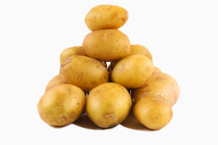 Organic potato isolated on the whiteの写真素材