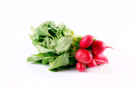 Organic Radishes isolated on the whiteの写真素材