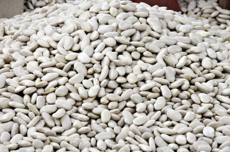 Kedney beans の写真素材