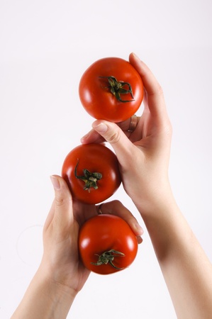 Tomatoes in the handsの写真素材