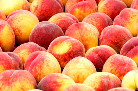Close-up of juicy ripen peachesの写真素材