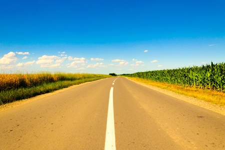 Road in the midle of the fields
