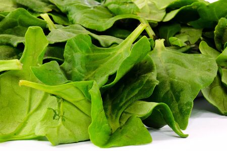 Raw spinach leafs 