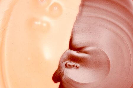 Sweet black and white creamの写真素材