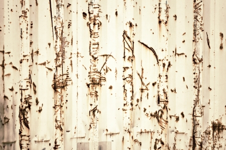 Scratched metal background