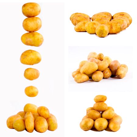 Potato collage isolated on whiteの写真素材