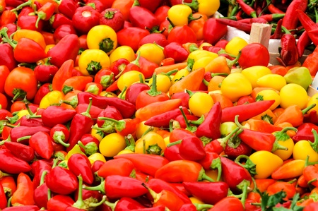 Bunch of organic pappers on the marketの写真素材