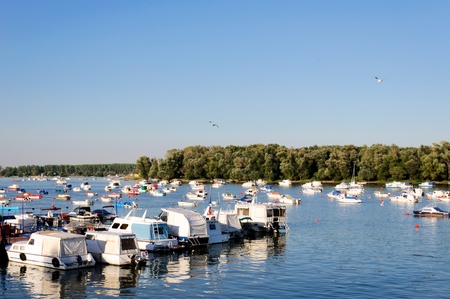 Bunch of boats on Danube riverの写真素材