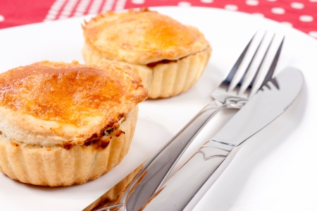 Selective focus on the meat pieの写真素材