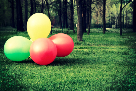 Colorful ballons on the grass.Selective focus on the balloonsの写真素材