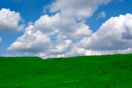 Empty green field and fluffy clouds の写真素材
