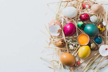 Easter colorful eggs in the nest from above