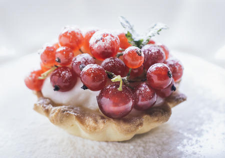 Close up to mini tart stuffed with vanilla pudding andred currants,selective focusの写真素材