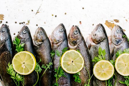 Group of trout fishes on white wooden table,selective focus and blank spaceの写真素材