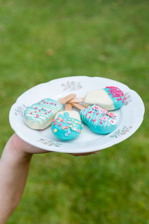 Cake pops ice creams in the plate with grass in background,selective focusの写真素材