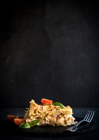 Served turkey meat in mlinci pastry and bechamel sauce,selective focus and blank spaceの写真素材