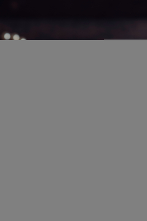 Purple roses cupcakes on wooden background,selective focus の写真素材