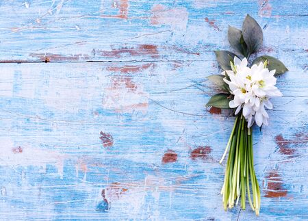 Snowdrop on the wooden background with blank space の写真素材