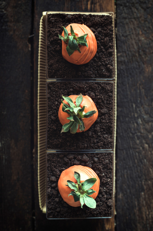 Sweet carrots in the chocolate moussee,above and selective focusの写真素材