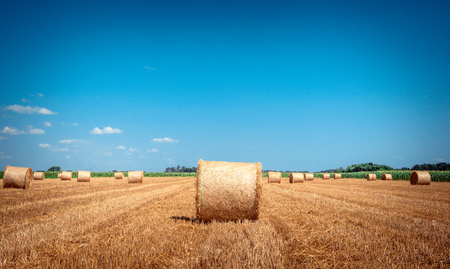 Bales of hay on the field,selective focusの写真素材