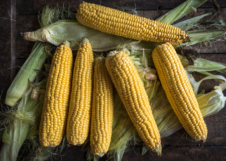 Raw corn on the wooden table