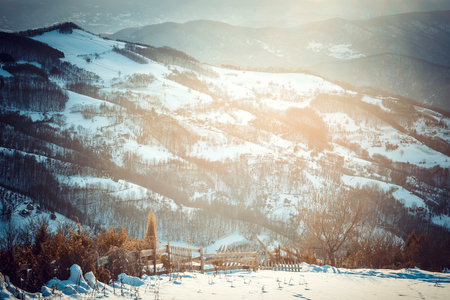 Beautiful landscape of Tara mountain in Serbia の写真素材