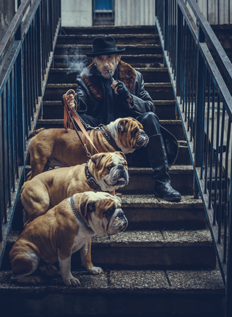 Three English bulldogs and man posing outdoor, selective focusの写真素材
