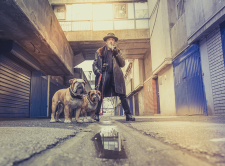 Scary portrait of man with two English bulldogs,selective focus の写真素材