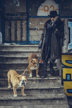 Man posing outdoor with two English bulldogs,selective focus の写真素材
