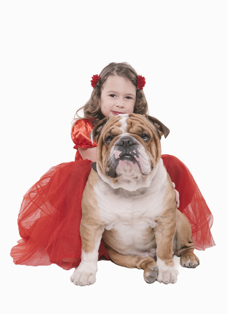 English bulldog with little girl posing,isolated on white background の写真素材